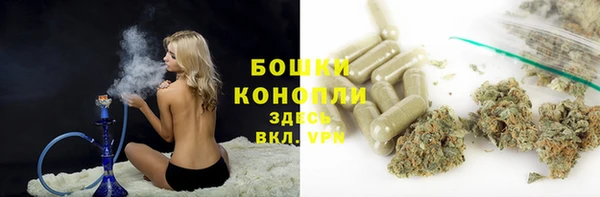 тгк Рославль
