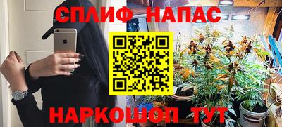 тгк Владивосток