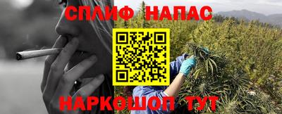 тгк Владивосток