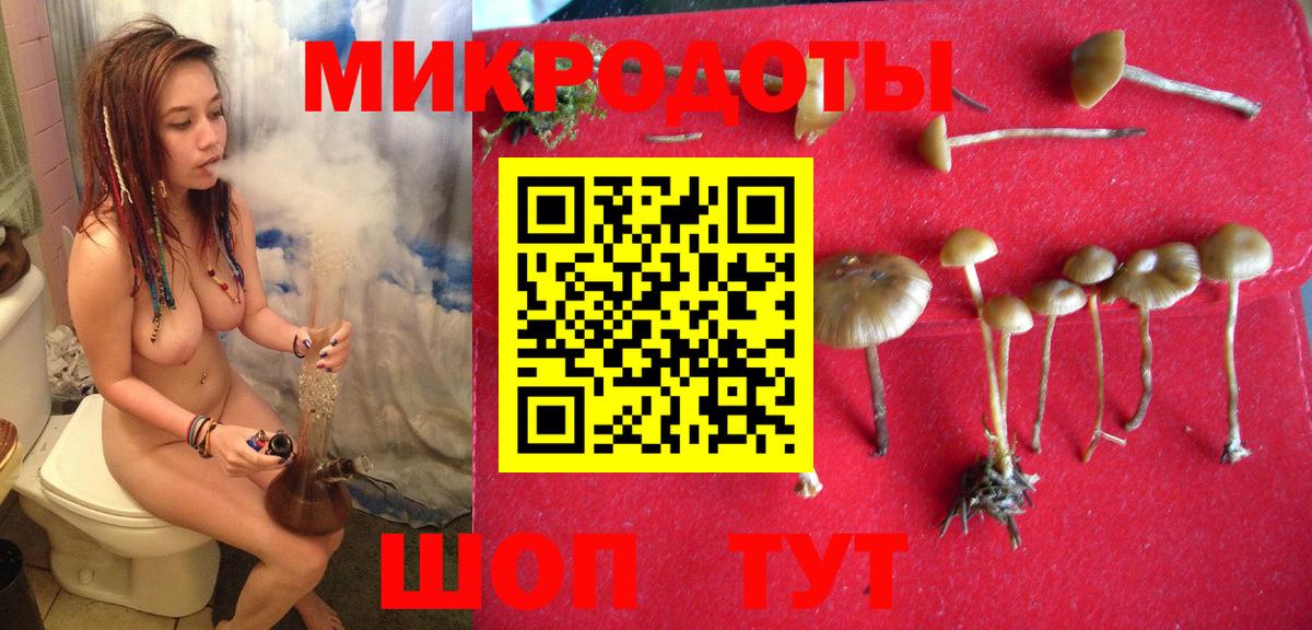Белая Калитва  Галлюциногенные грибы GOLDEN TEACHER  Вход с VPN 